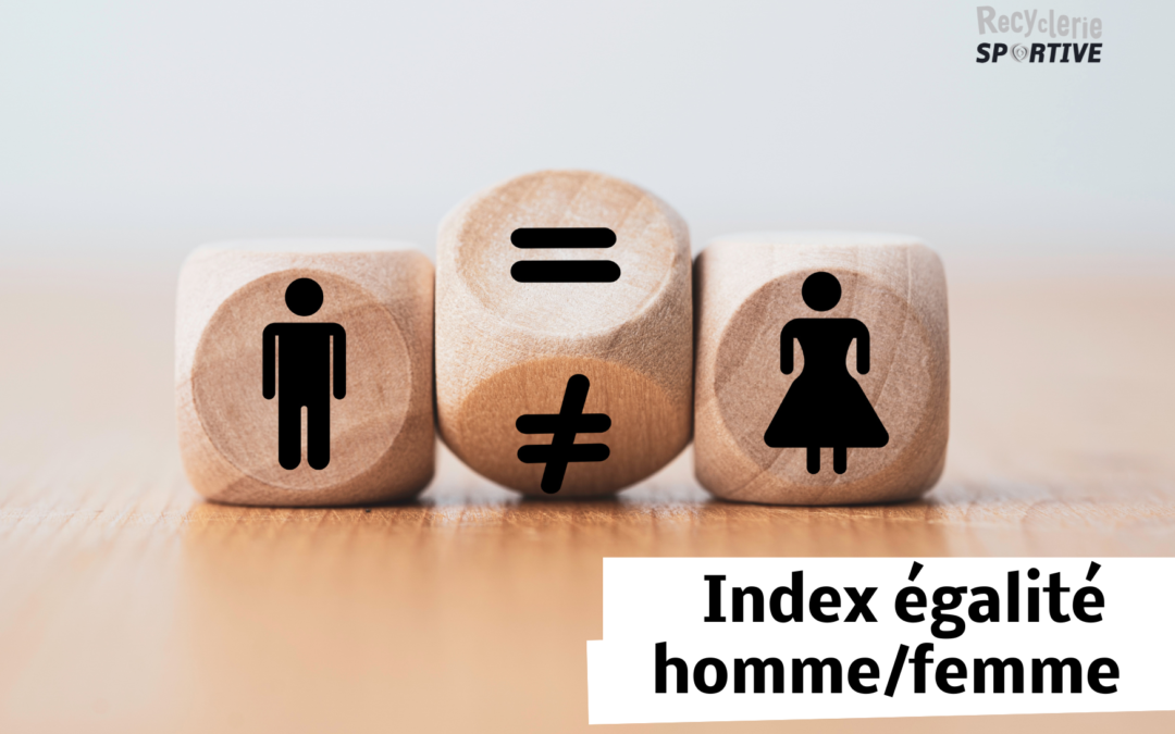 Index égalité Homme / Femme