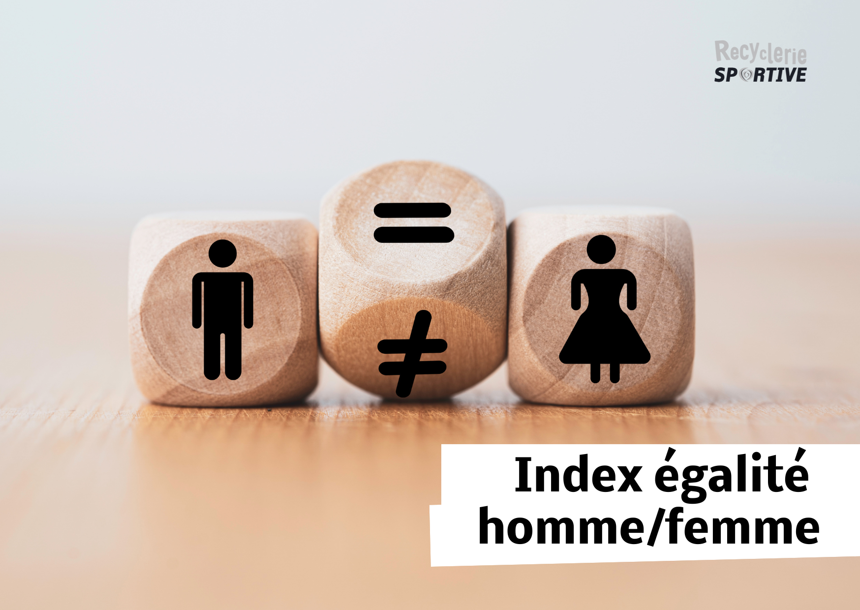 Index égalité homme/femme
